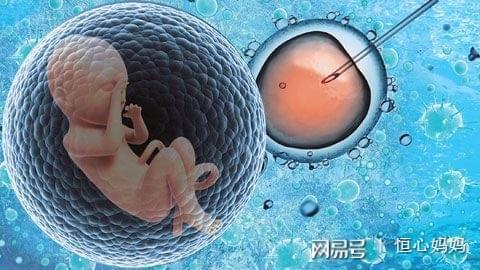 好孕故事